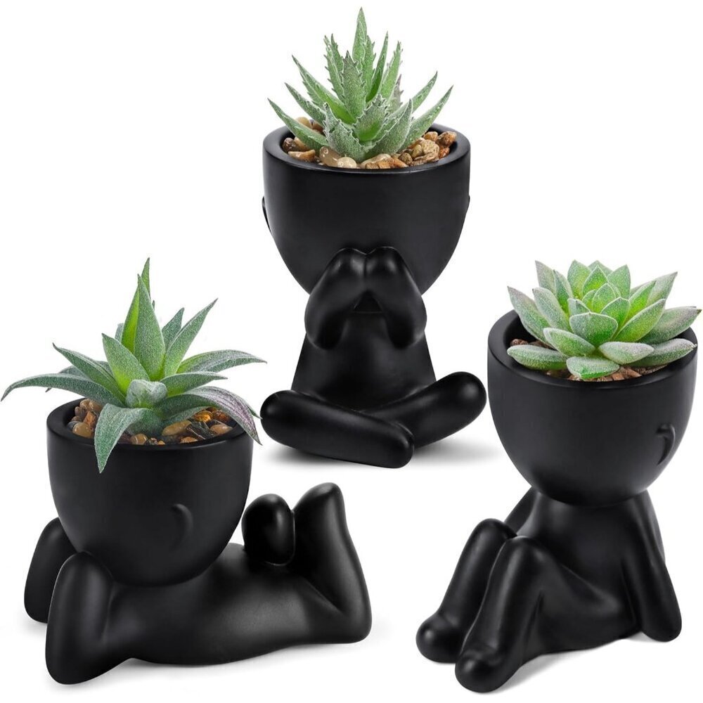 3pcs Fake Succulents Plants Artificial Black Aesthetic Indoor Halloween Decor